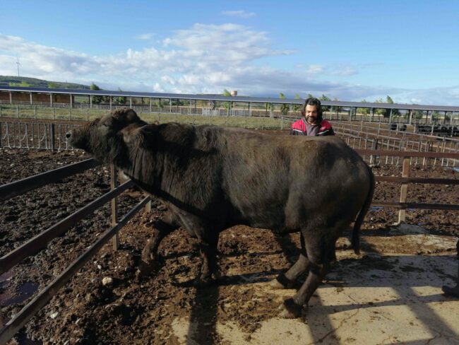 Risbufala-Associazione-1